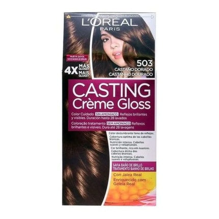 L'Oréal Professionnel Color Accessories Golden Chestnut Colour Refreshing Conditioner, 250ml | Colour Care for Warm Brown Hair