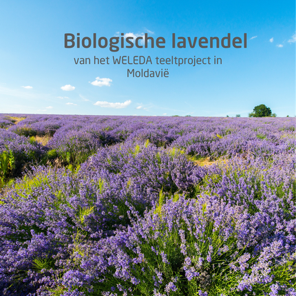 Weleda Lavender Relaxation Bath, 200ml | Aromatic Bath Soak for Relaxing Body Care