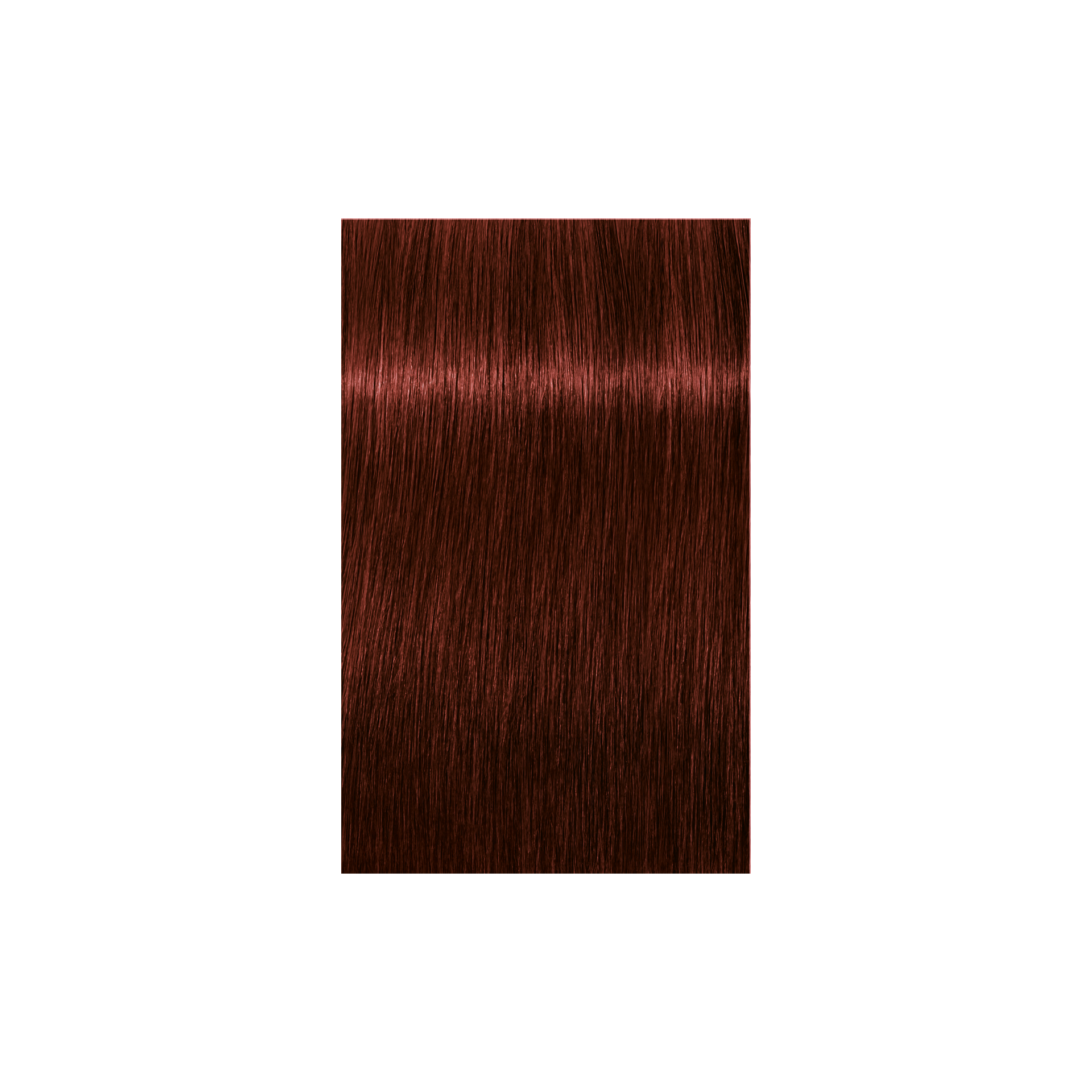 Schwarzkopf Professional Igora Royal Absolutes 5-80 Light Brown Red Natural, 60ml Buy at Indicrest Image 2