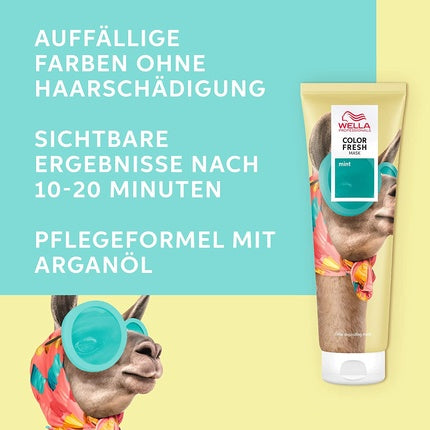 Wella Professionals Color Fresh Mask Mint Hair Treatment with Avocado Oil, 150ml