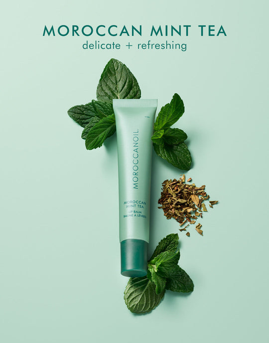 Moroccanoil Lip Balm Moroccan Mint Tea Hydrating Lip Care Balm, 10ml