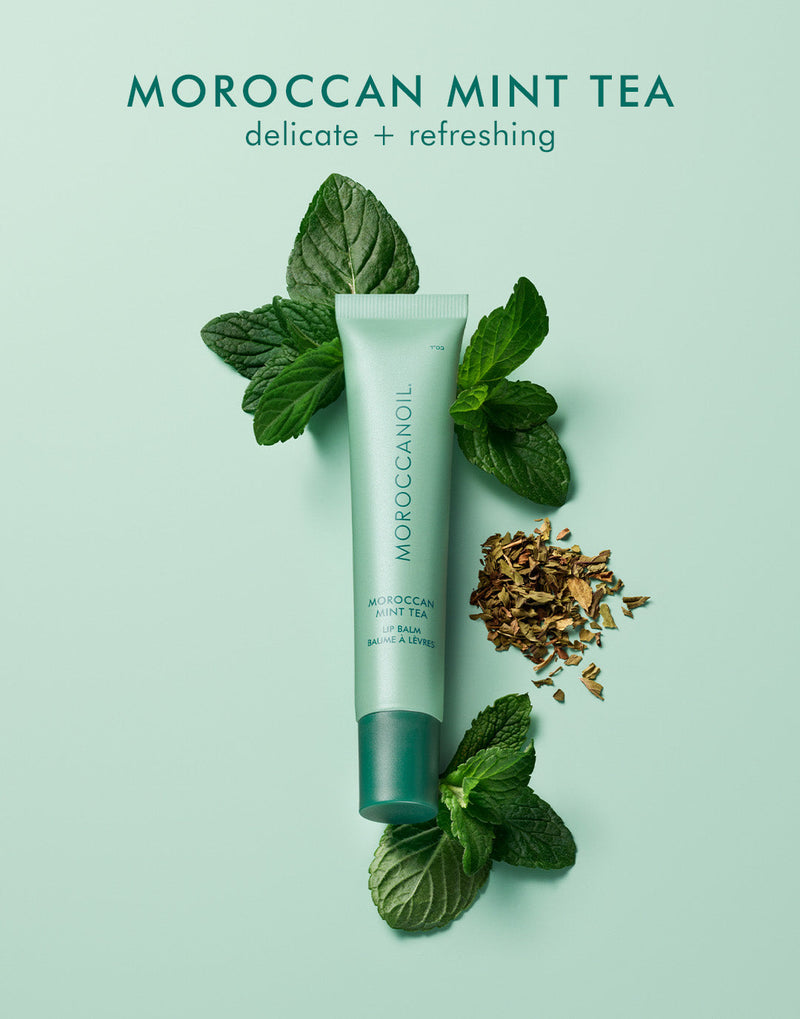 Moroccanoil Lip Balm Moroccan Mint Tea Hydrating Lip Care Balm, 10ml