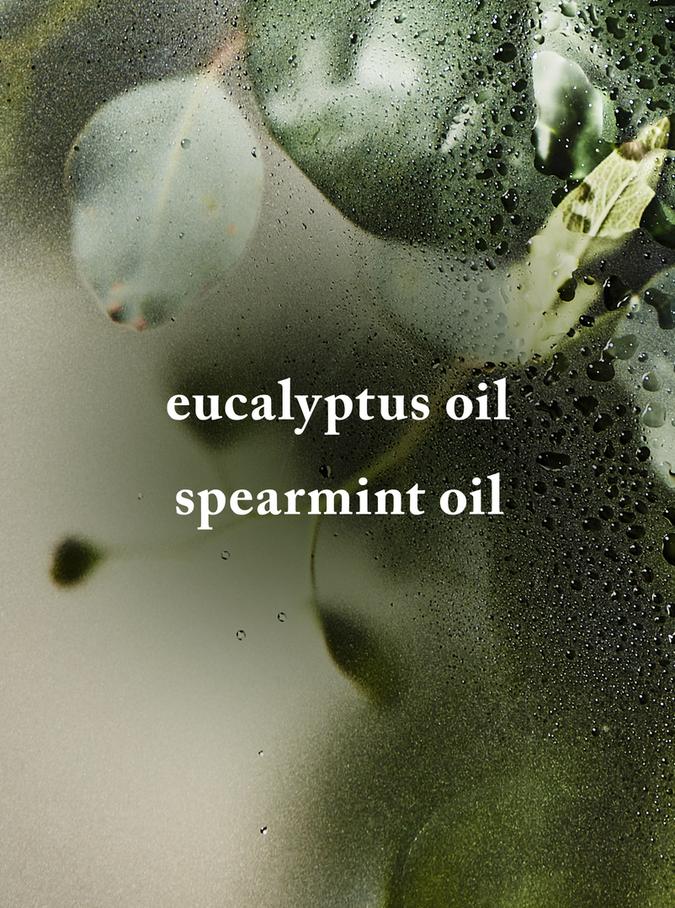 Bath & Body Works Eucalyptus Spearmint Moisturizing Body Wash, 295 ml / 10 fl oz Buy at Indicrest Image 2