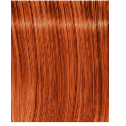 IGORA ROYAL Fashion Lights L-77 copper highlight color Indicrest