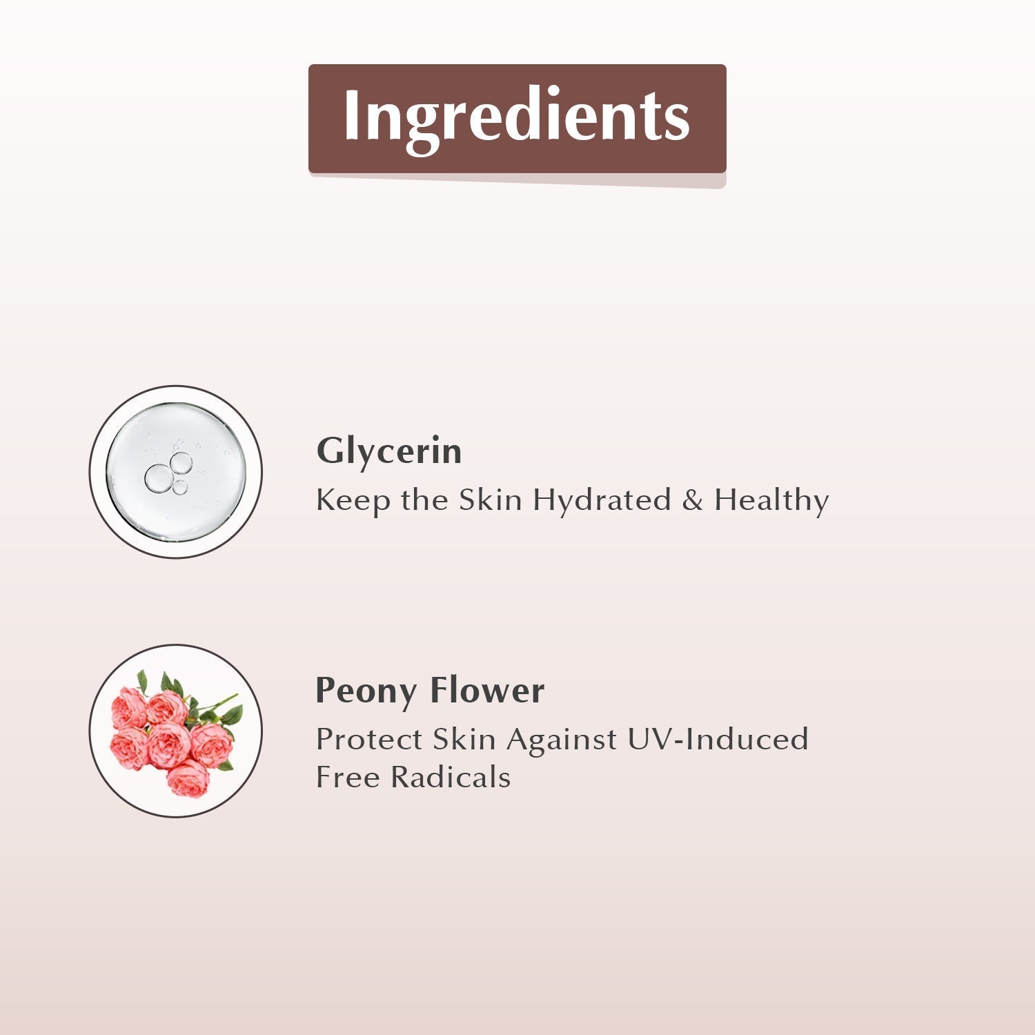List of ingredients with icons and descriptions on a light pink background