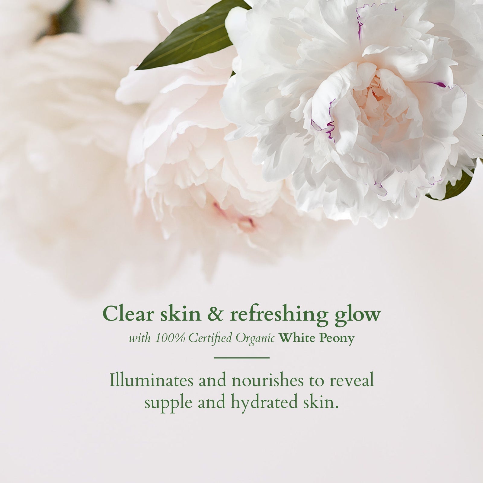 Lotus Organics+ Precious Brightening Face Wash, 100g – Cleanse & Illuminate Skin Buy at Indicrest Image 3