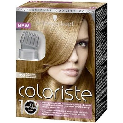 Schwarzkopf Coloriste 10 Hair Color 550 Golden Brown (Castaño Dorado) 6 x 17ml Permanent Hair Colour Kit