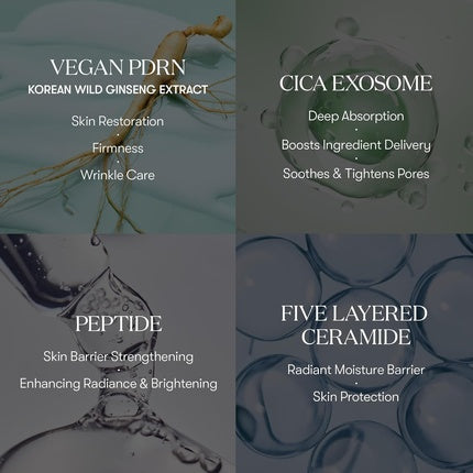 VT Cosmetics PDRN CICA Exosome Ampoule Anti-Aging Face Serum with Ceramides & Peptides, 30ml
