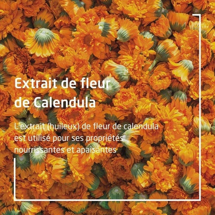 Weleda Baby Calendula Protective Face Cream, 50ml – Gentle Moisturising Face Cream for Delicate Baby Skin