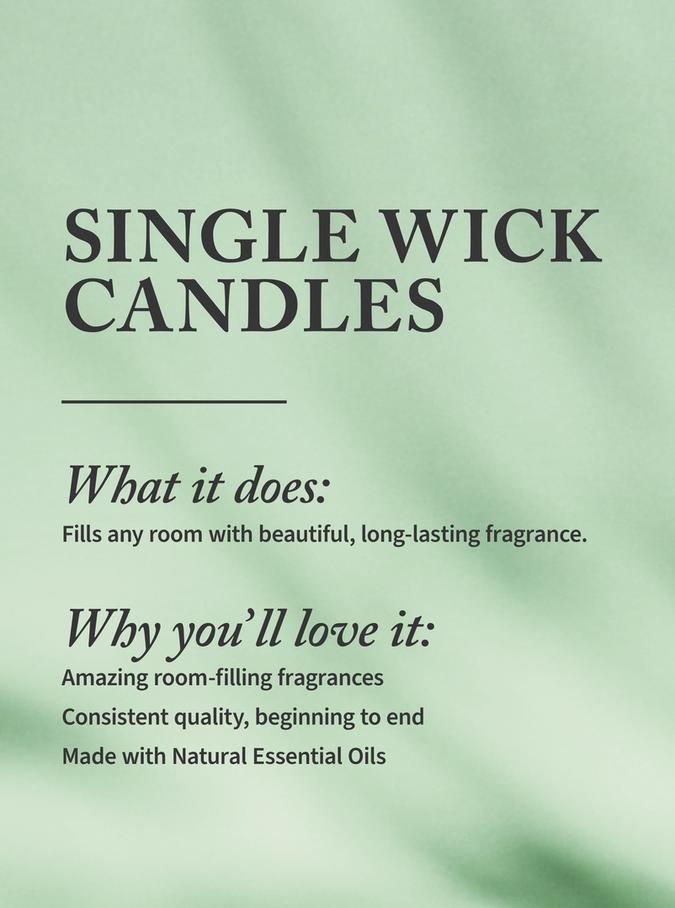 Bath & Body Works Aqua Hour Single Wick Candle, 227g / 8 oz Buy at Indicrest Image 2