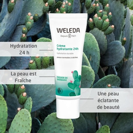 Weleda Prickly Pear 24H Moisturising Day Cream, 30ml – Lightweight Hydrating Face Cream for Dehydrated Skin