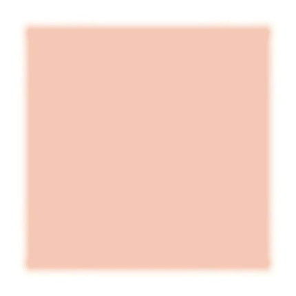 Clinique Beyond Perfecting Powder Foundation and Concealer Breeze Lightweight Full Coverage Compact Foundation